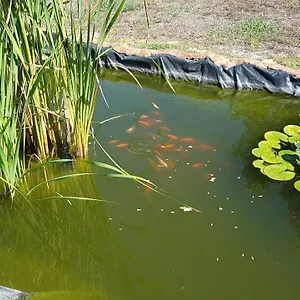 La Barca In Secca Casa di campagna