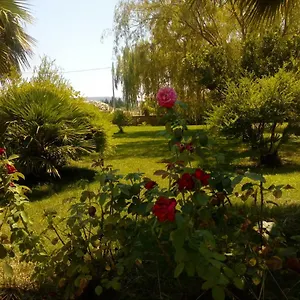 Il Giardino Delle Rose A Appartamento
