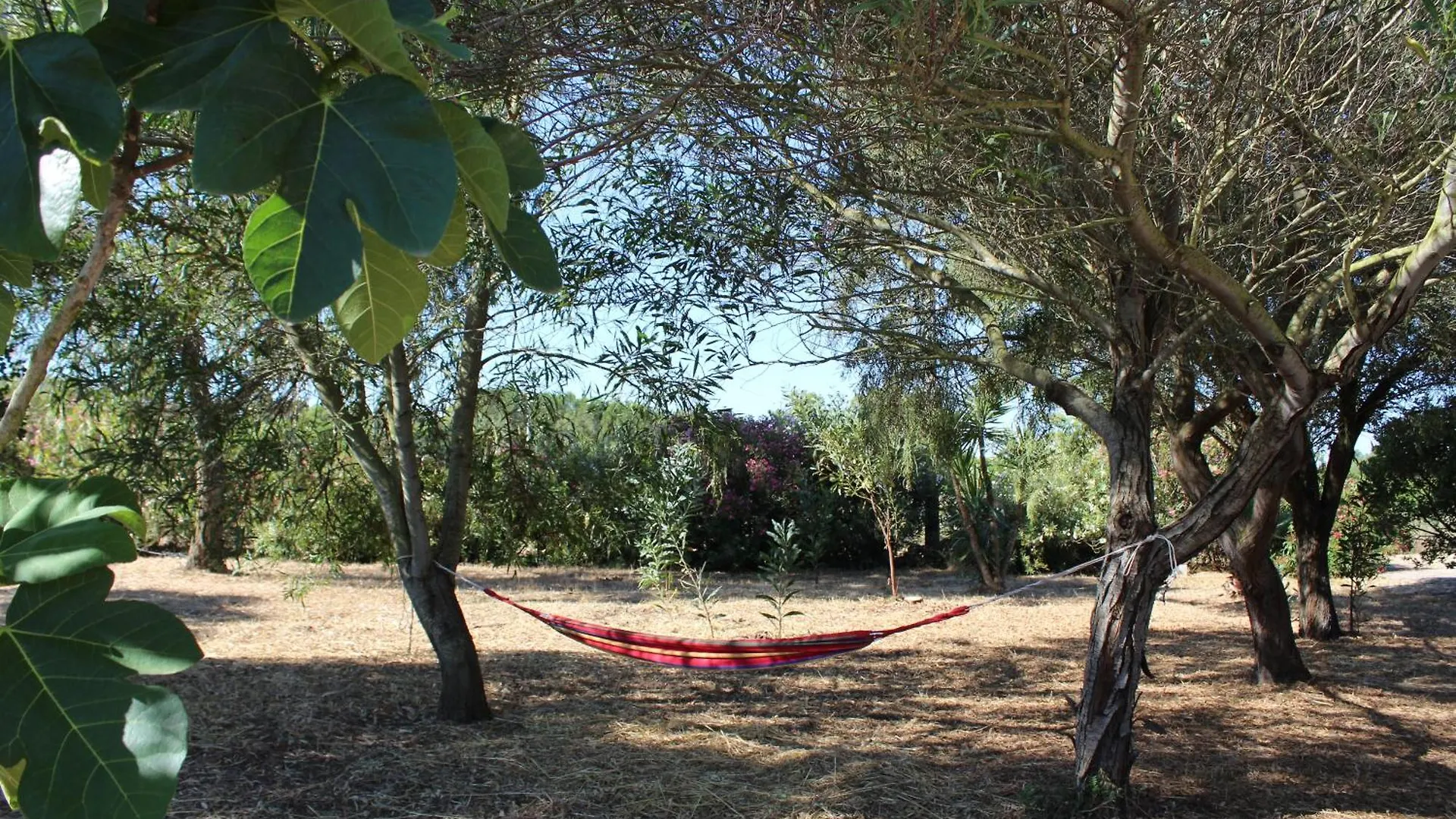 Apartment Olmedo Casa Vacanze Italy